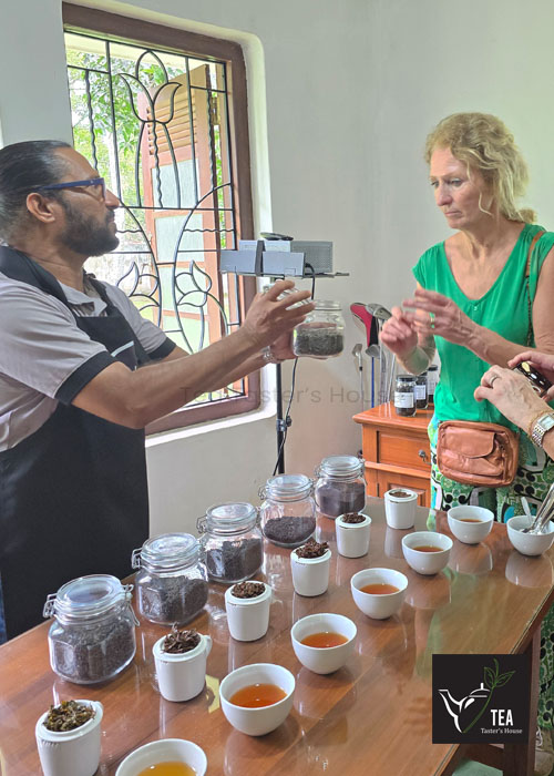 Tea Taster's House gallery photo 137