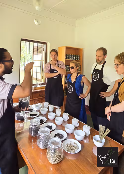 Tea Taster's House gallery photo 80